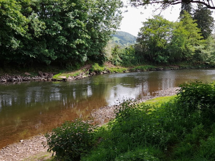 Llwyn Corner - AK from Churt